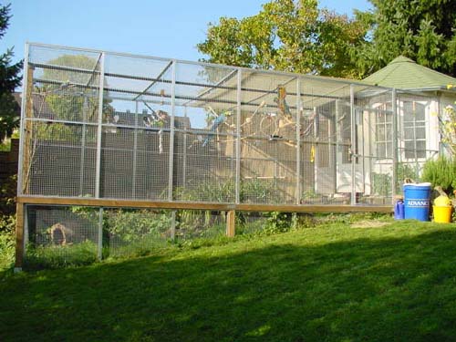 1 Uta Schokolinski Tier Naturschutzverein Niederberg Voegel-Papageien