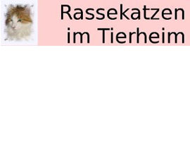 banner rassekatzen