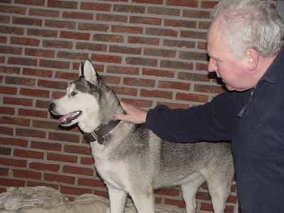 tiergeschichten aron gina ice 03 Uta Schokolinski