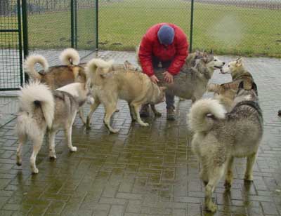 tiergeschichten aron gina ice 02 Uta Schokolinski